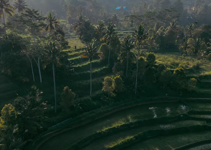 Villa Vishala Retreat Bali Sidemen (Bali)